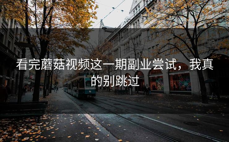 看完蘑菇视频这一期副业尝试，我真的别跳过